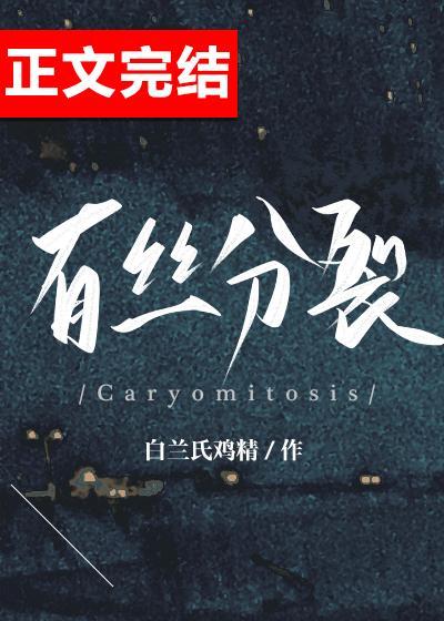 有丝分裂