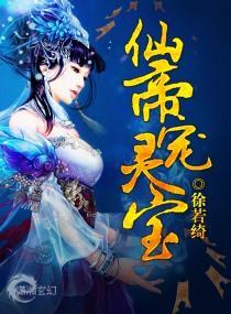 仙帝宠灵宝