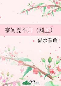 奈何夏不归（网王）