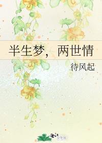 半生梦，两世情