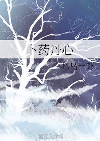 卜药丹心