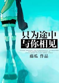 只为途中与你相见