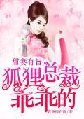 甜妻有旨：狐貍总裁乖乖的