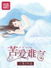 苦爱难言夏晚晴陆正南
