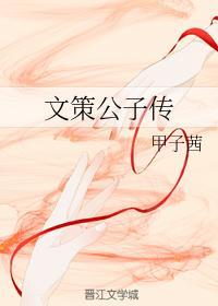 文策公子传