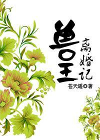 兽王离婚记
