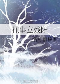 往事立残阳