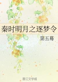 逐梦令