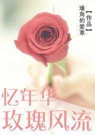 忆年华，玫瑰风流