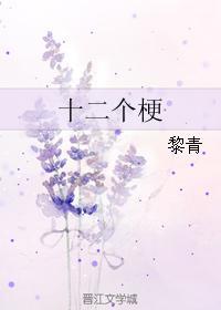 十二个梗
