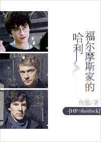 福尔摩斯家的哈利