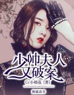 少帅夫人,又破案!