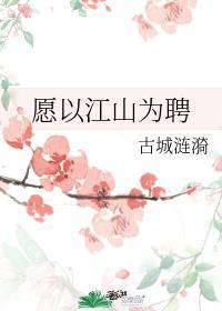 愿以江山为聘