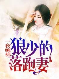一夜缠绵：狼少的落跑妻