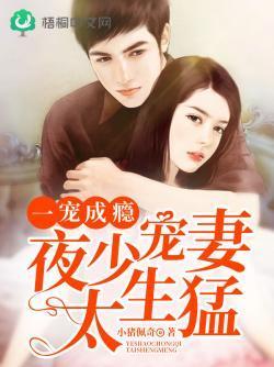 一宠成瘾：夜少宠妻太生猛