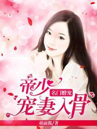 名门婚宠:帝少宠妻入骨