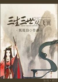 三生三世双飞翼