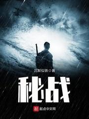 秘战