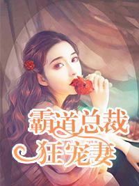 霸道总裁狂宠妻