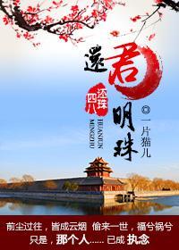 四八穿越还珠之还君明珠