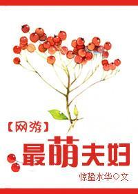 [网游]最萌夫妇
