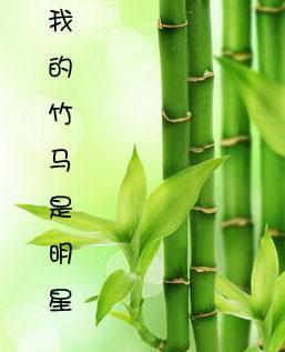 我的竹马是明星