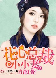 花心总裁小小妻