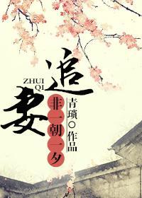 追妻,非一朝一夕
