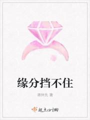 缘分挡不住