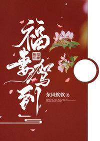福妻驾到