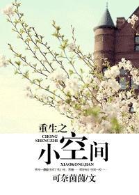 重生之小空间