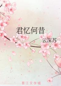 君忆何昔
