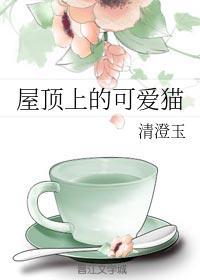 屋顶上的可爱猫