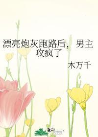 漂亮炮灰跑路后，男主攻疯了