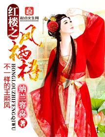 红楼之凤栖梧