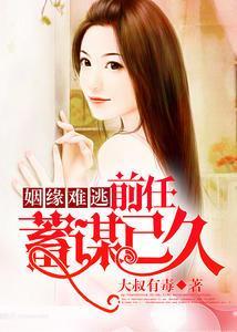 姻缘难逃:前任蓄谋已久宋黎之陆明湛