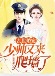 乱世婚宠：少帅又来爬墻了