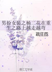 男扮女装之杨二花在重生之路上越走越弯