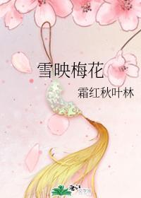 雪映梅花
