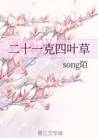 二十一克四叶草