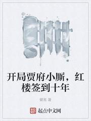 开局贾府小厮，红楼签到十年
