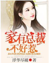 家有总裁，不好惹！