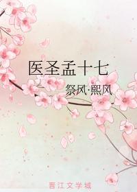医圣孟十七