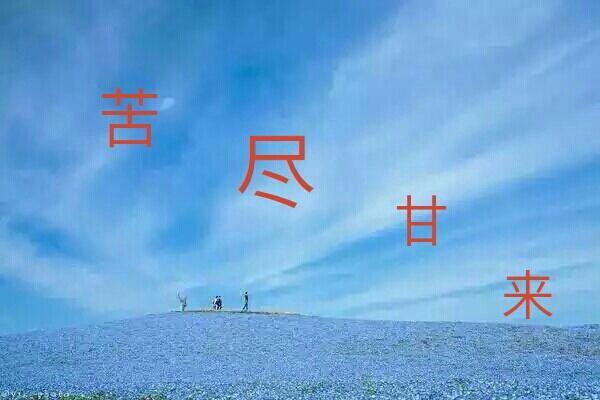 苦尽甘来