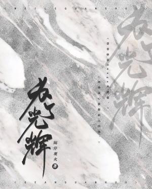 为了光辉abo