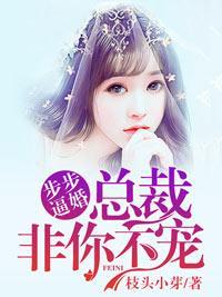 步步逼婚：总裁非你不宠