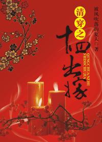 清穿之十四出嫁