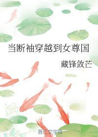 当断袖穿越到女尊国