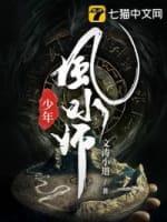 少年风水师