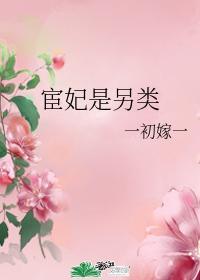 宦妃是另类